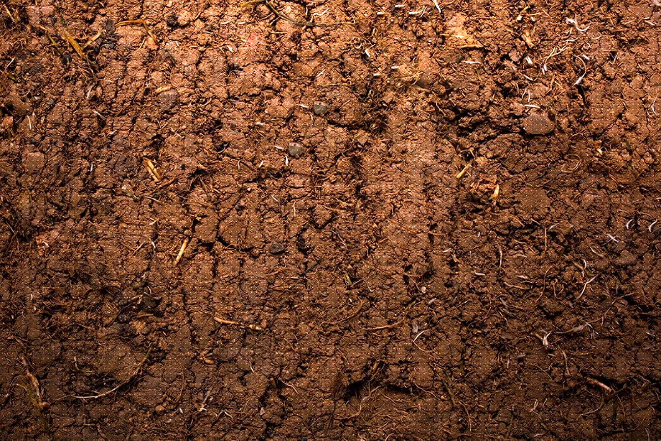 Текстура почвы в разрезе