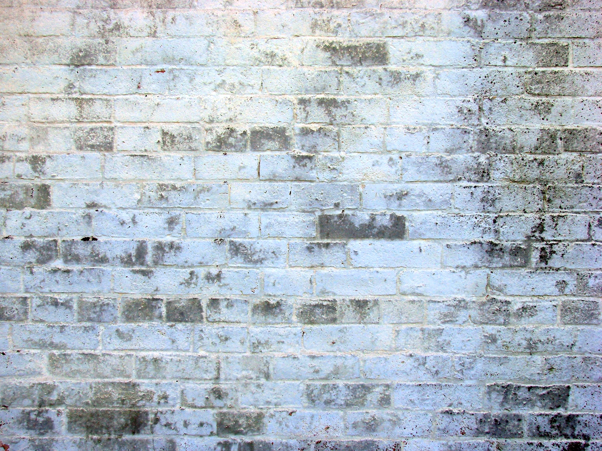 Текстура стены