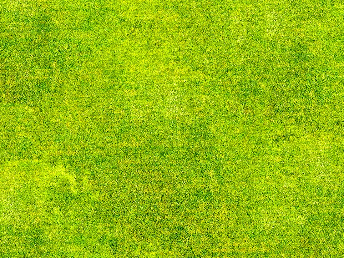 Текстура травы бесшовная генплан