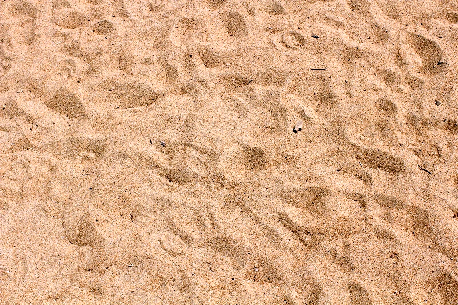 Текстуры песок для архикад
