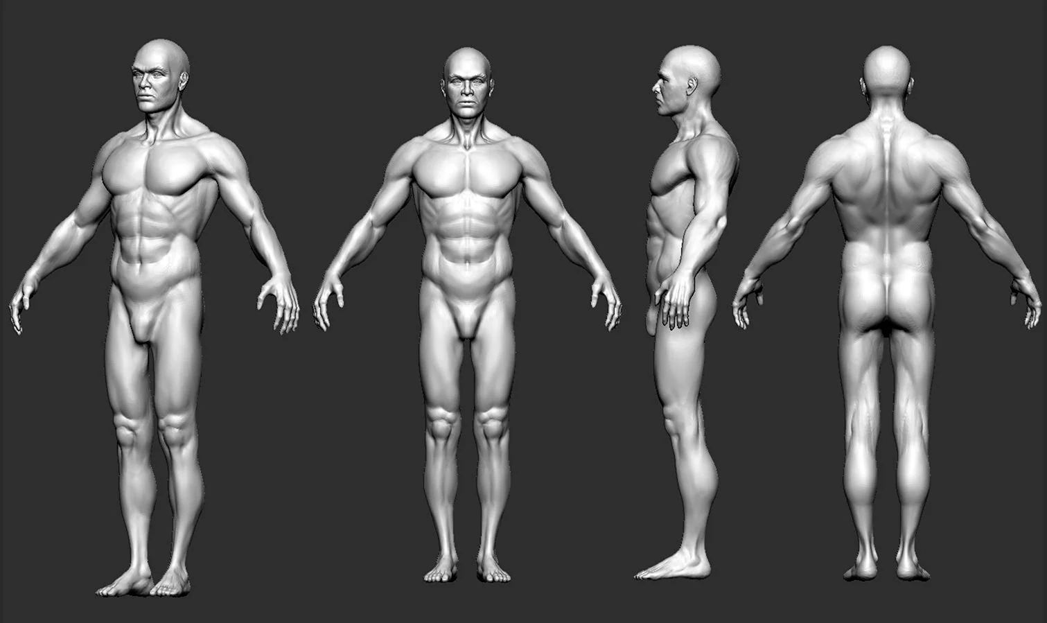 Тело человека для моделирования