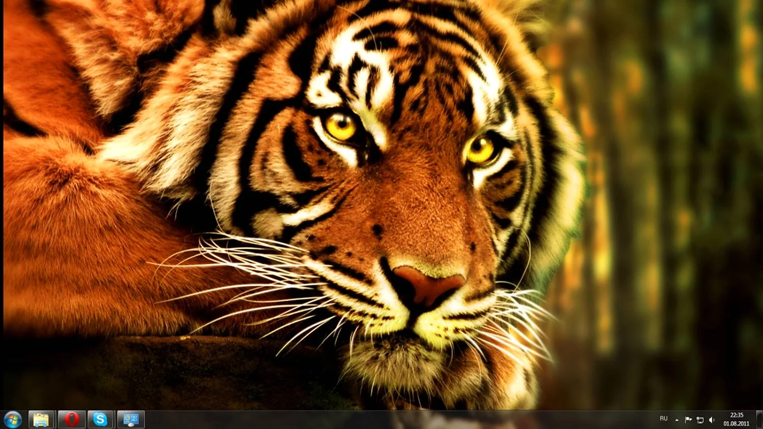 Тема тигр