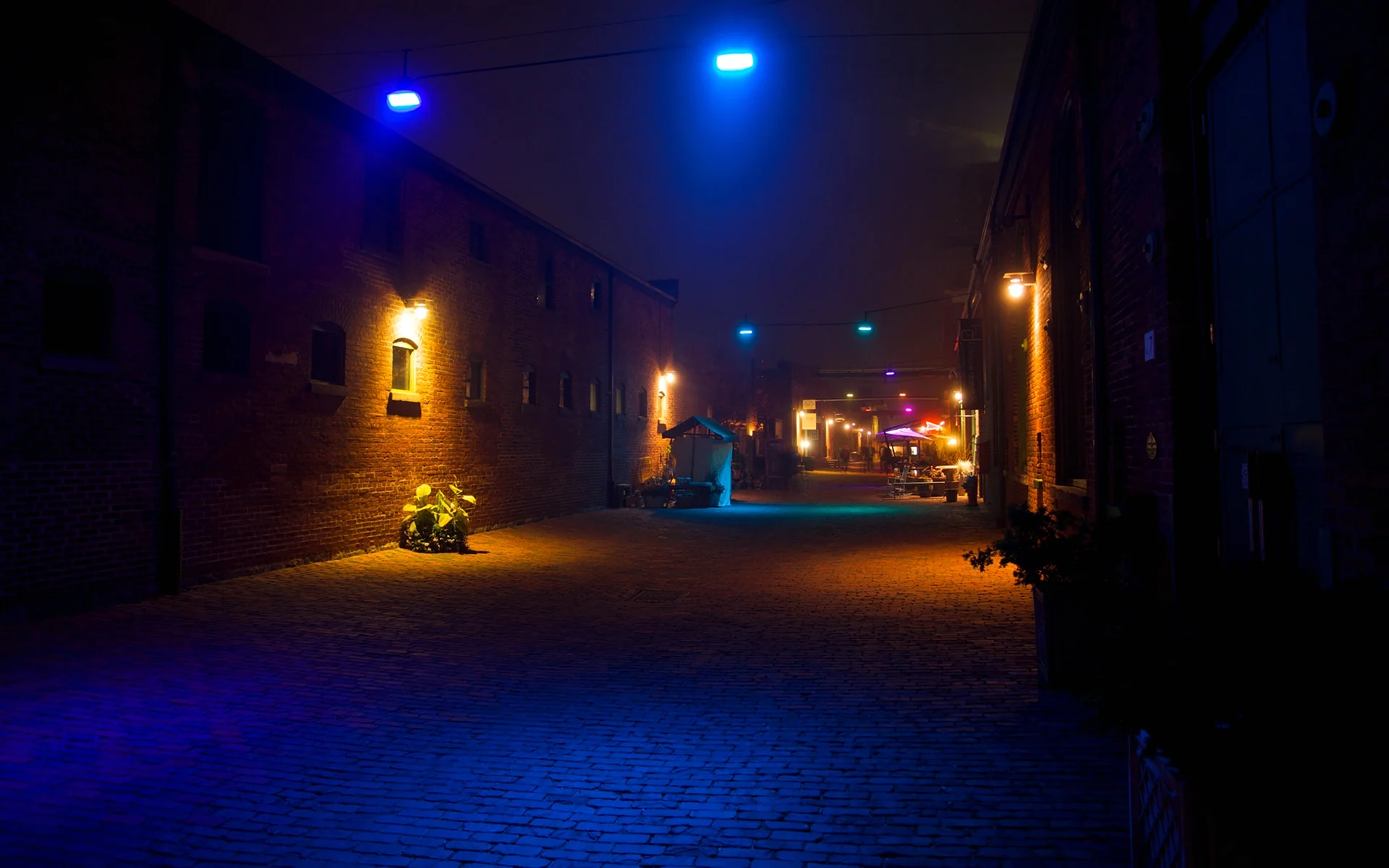 Темная улица с фонарями