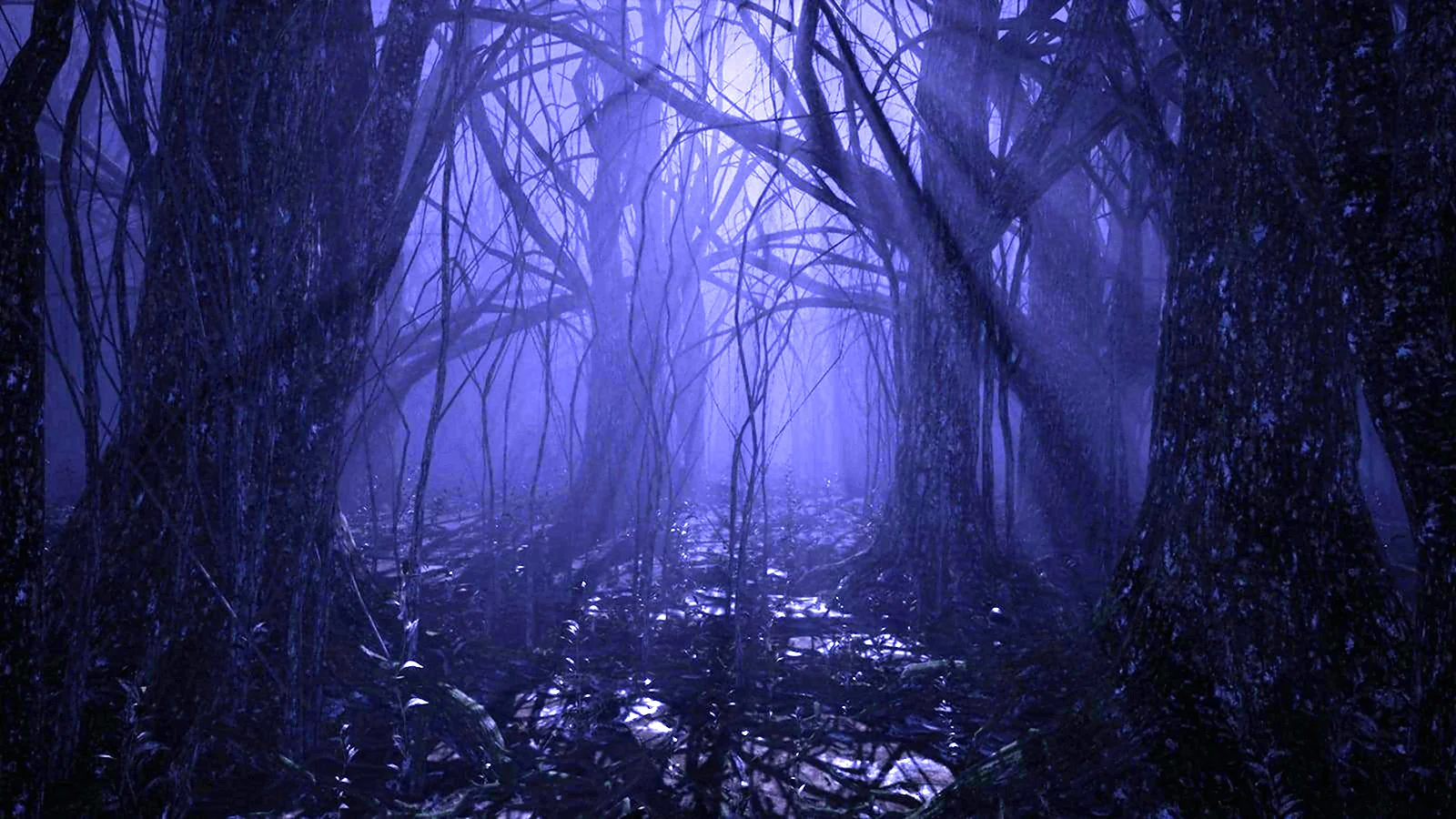 Темный лес 4бит