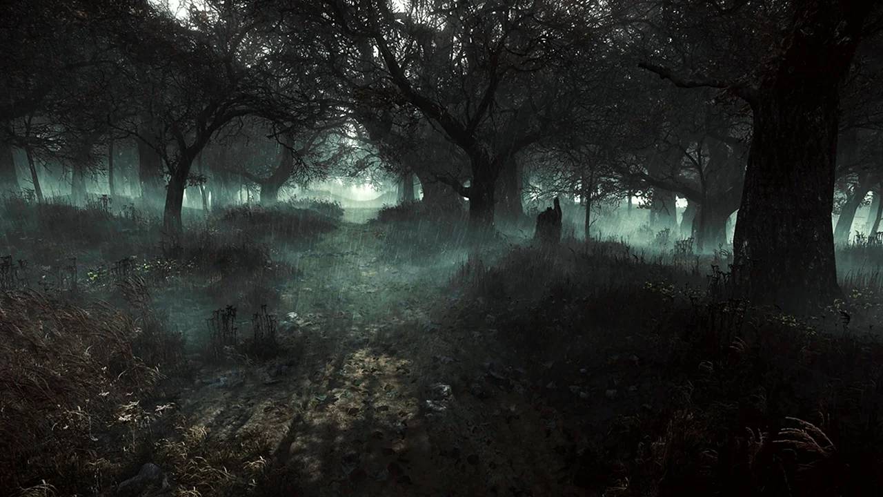 Темный лес кладбище