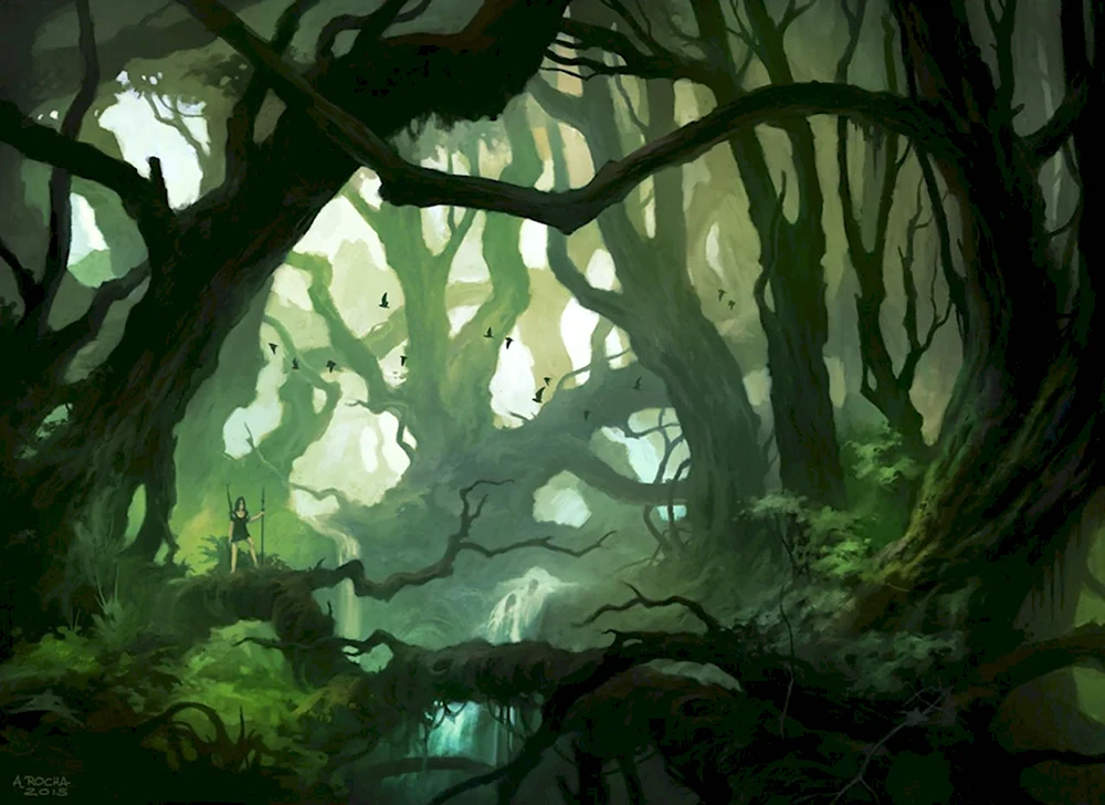 Темный лес референс
