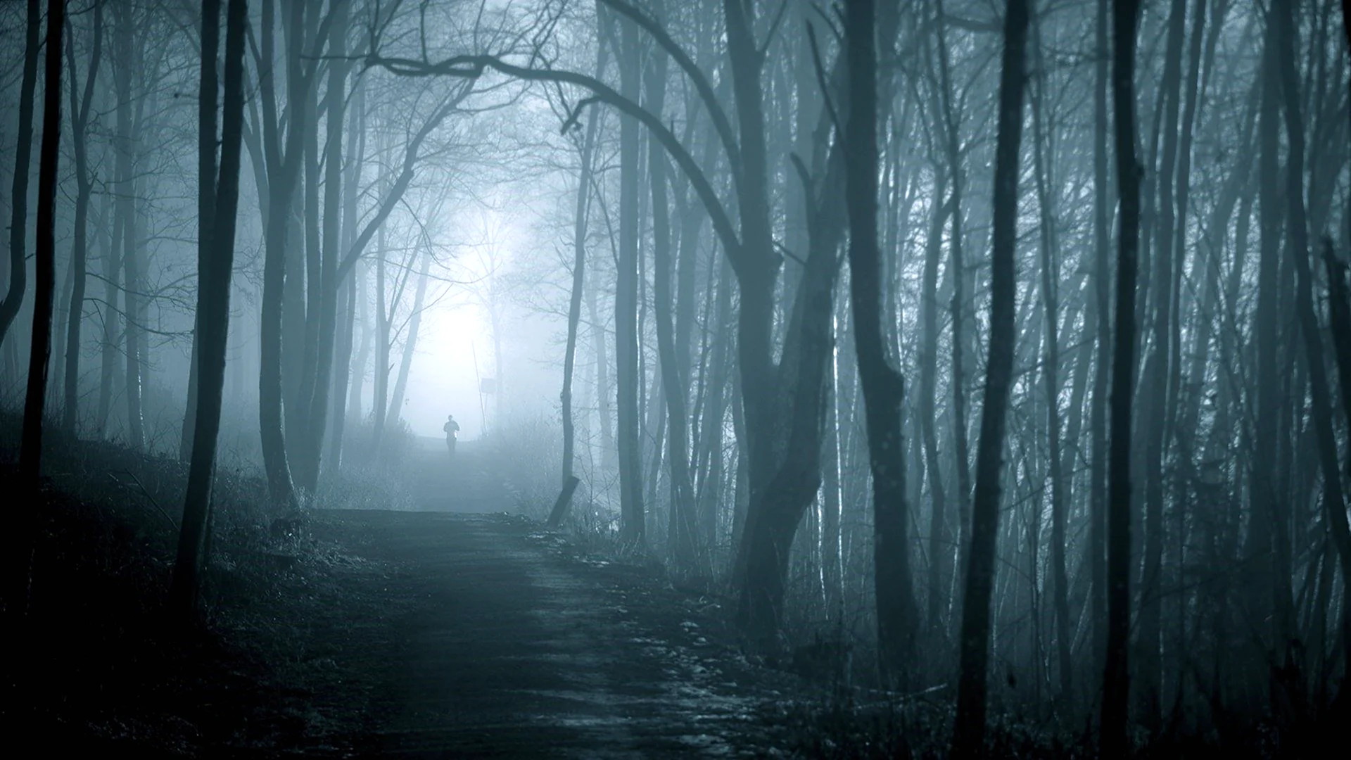 Темный лес Twilight Forest