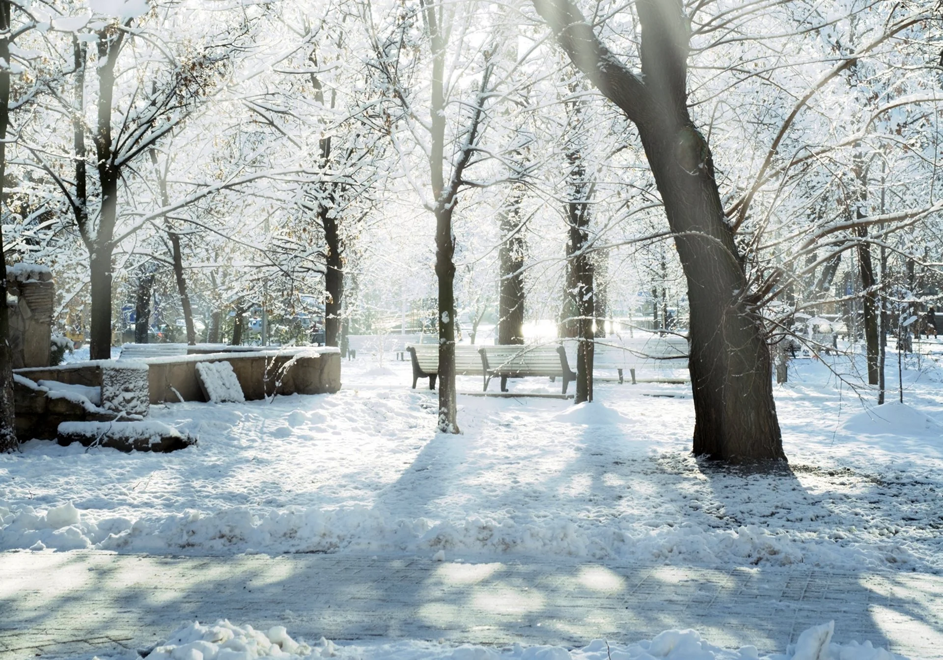 Терлецкий парк зимой