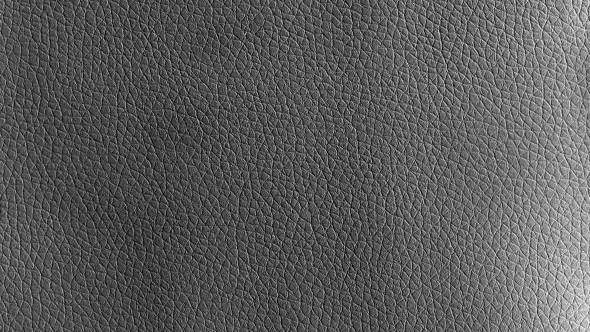 Texture Leather Black 3ds Max