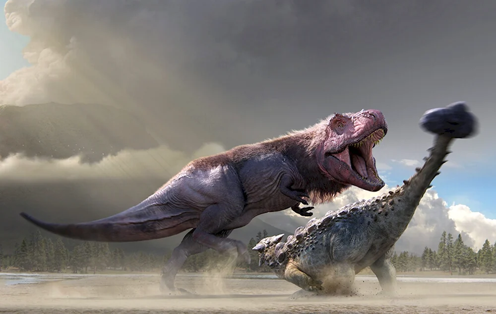 Тираннозавр и Анкилозавр