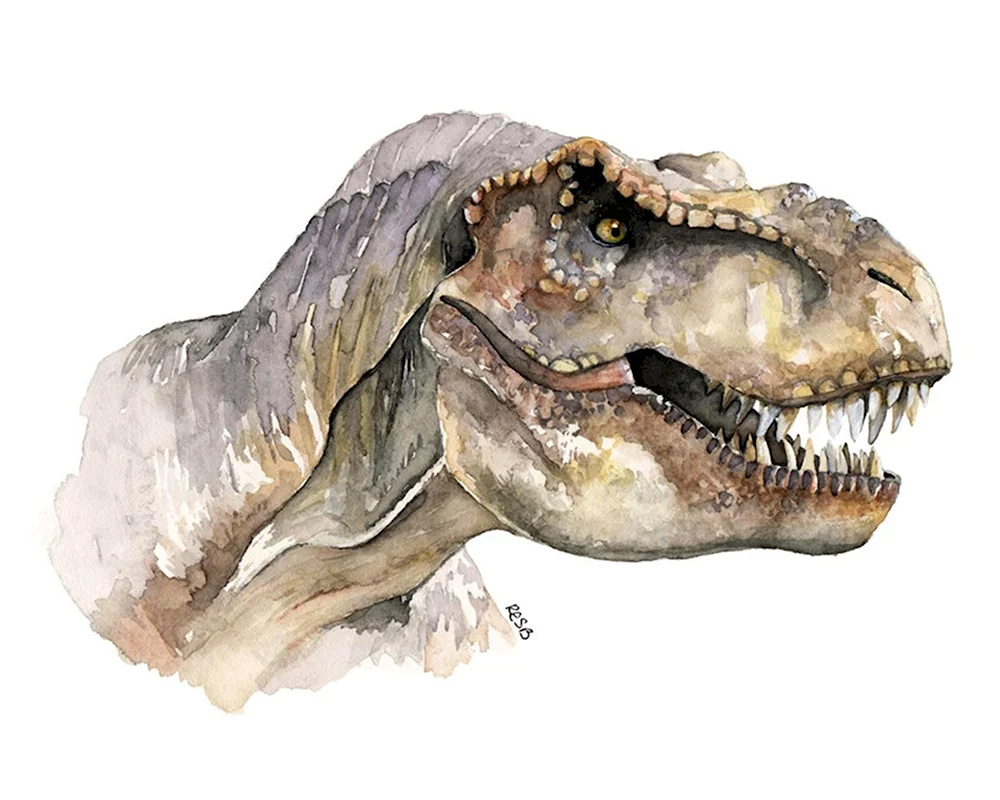 Тираннозавр рекс акварель