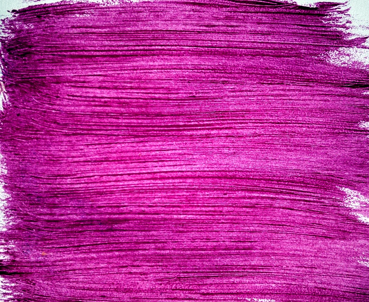 Тирийский пурпур