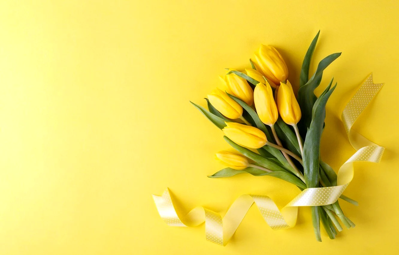 Тюльпаны на желтом фоне