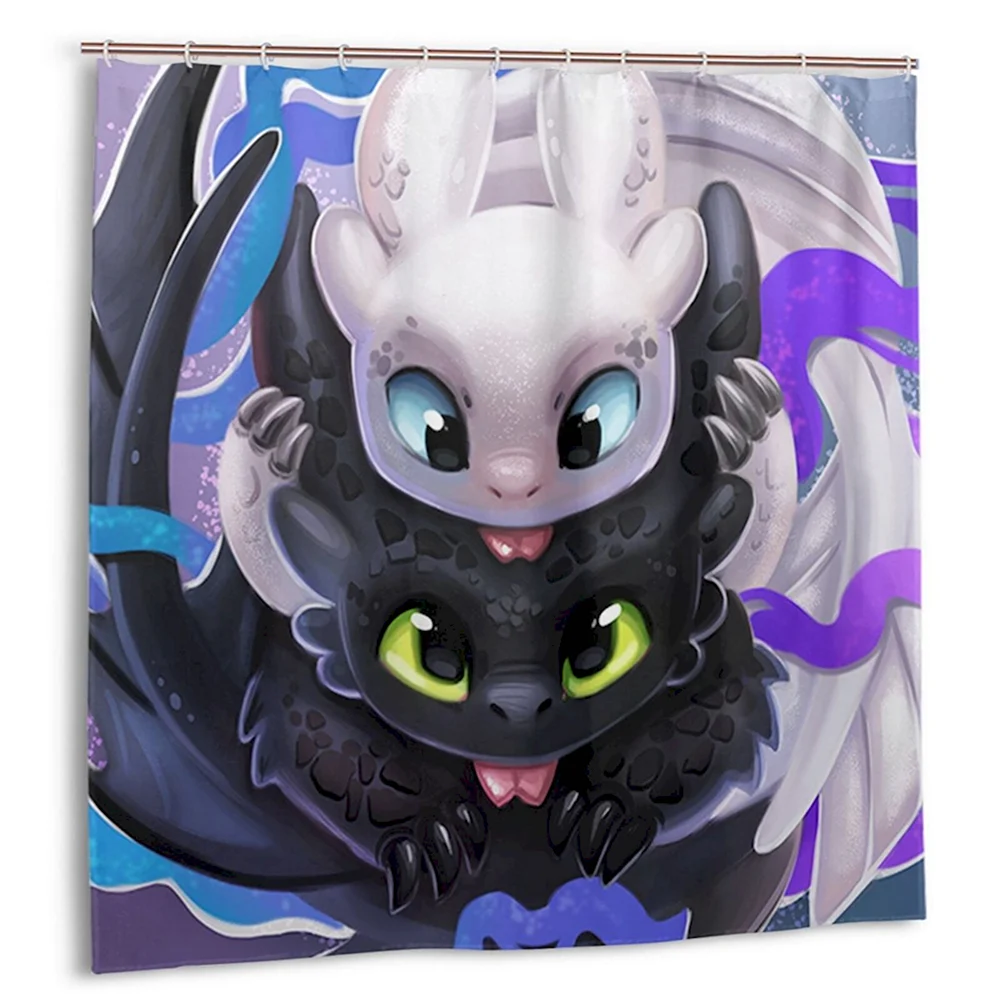 Toothless and Light Fury