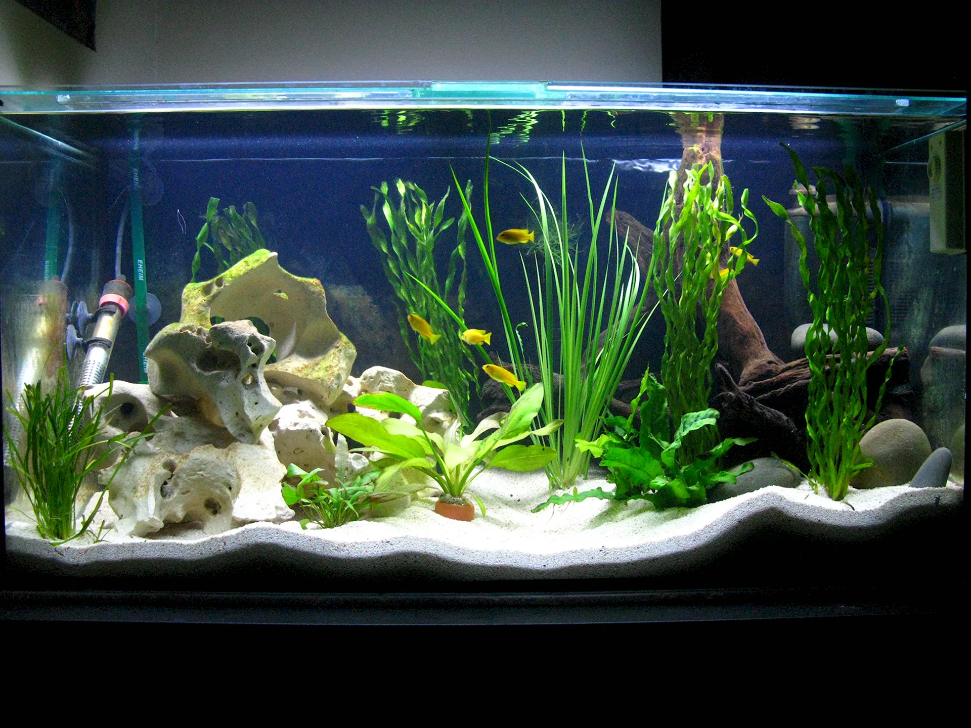Тропический пресноводный аквариум с рыбками