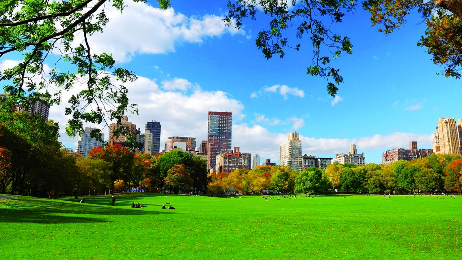 Центральный парк в Нью-Йорке панорама