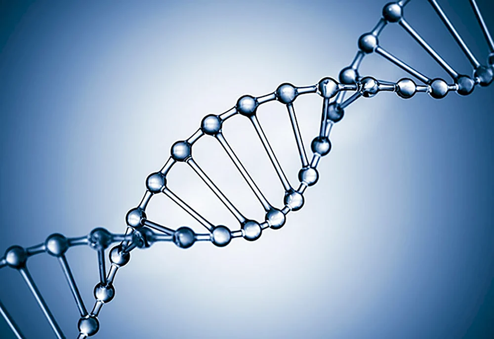 Цепочка ДНК DNA