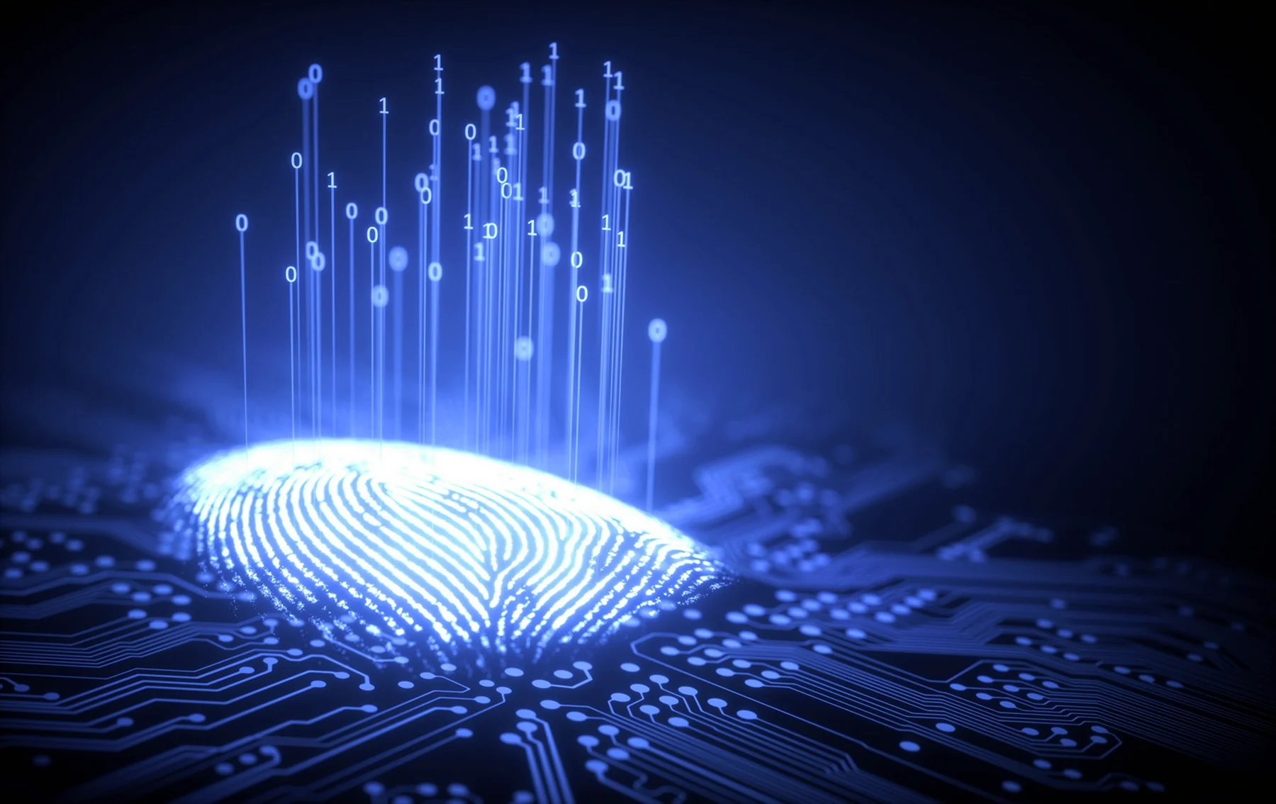 Цифровой отпечаток Digital Fingerprint
