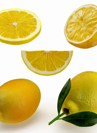 Цитрус лимон d19 h65