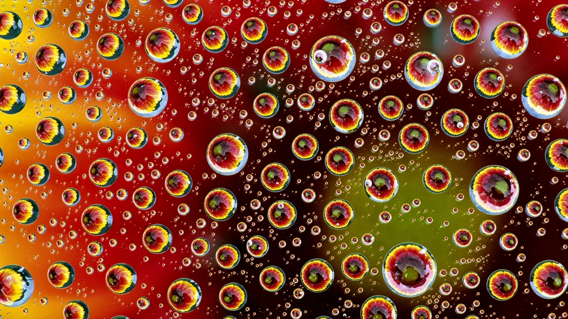Цветные пузырьки