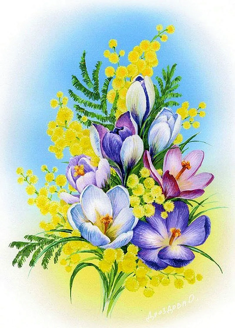 Цветок Крокус и мимозу