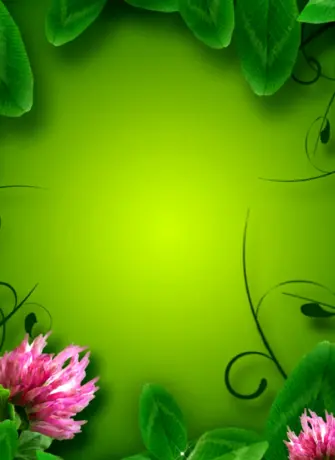 Цветы на зеленом фоне