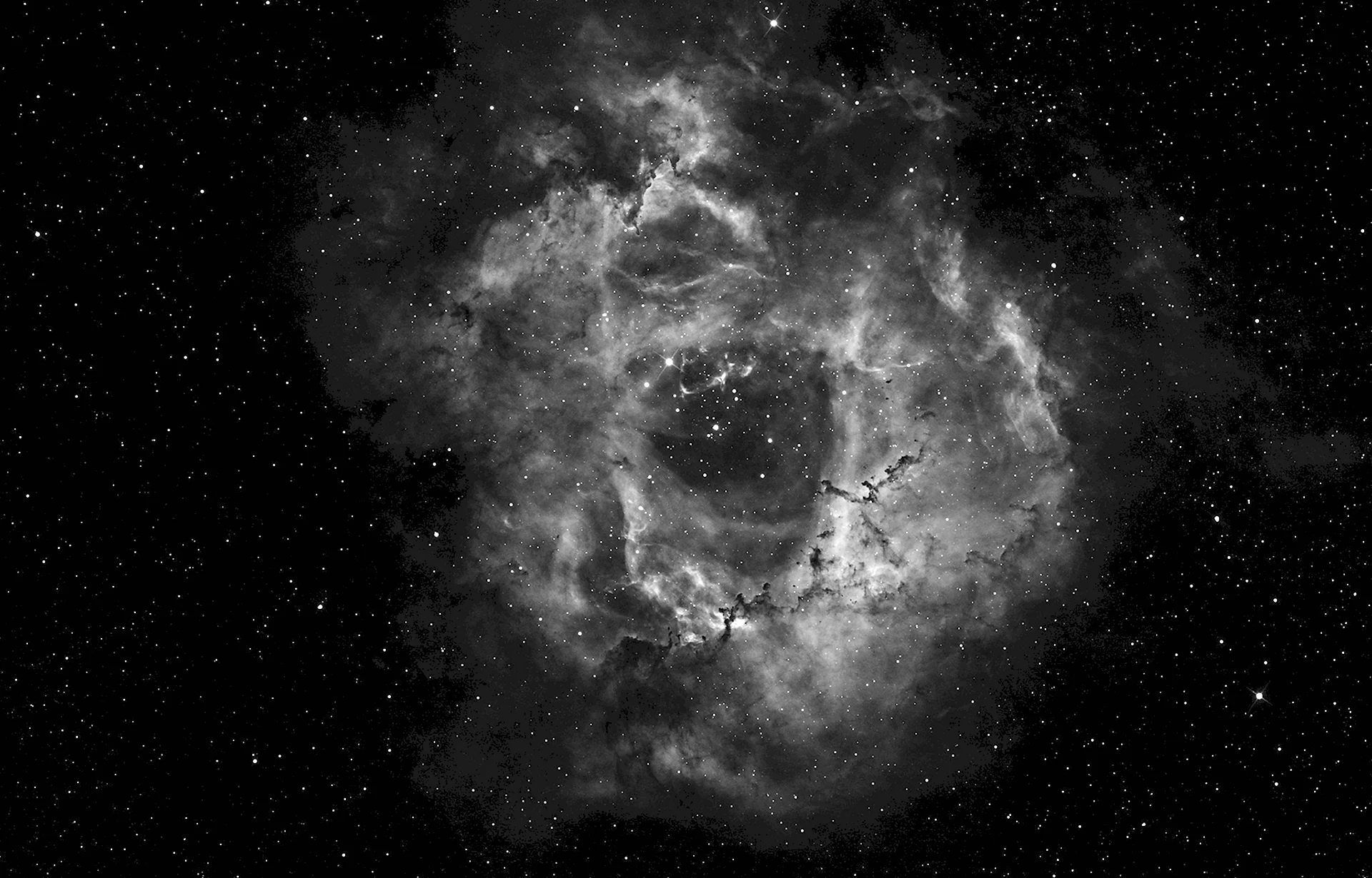Туманность розетка NGC 2237