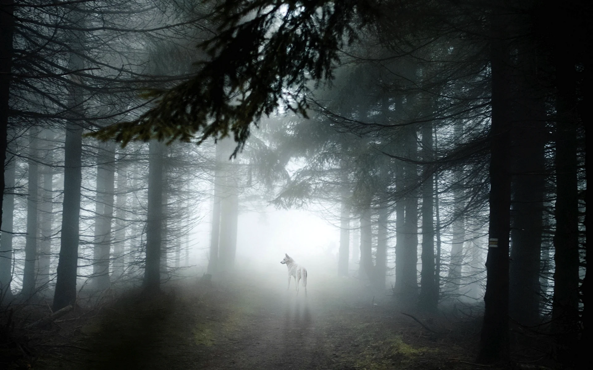 Туманный лес ikea