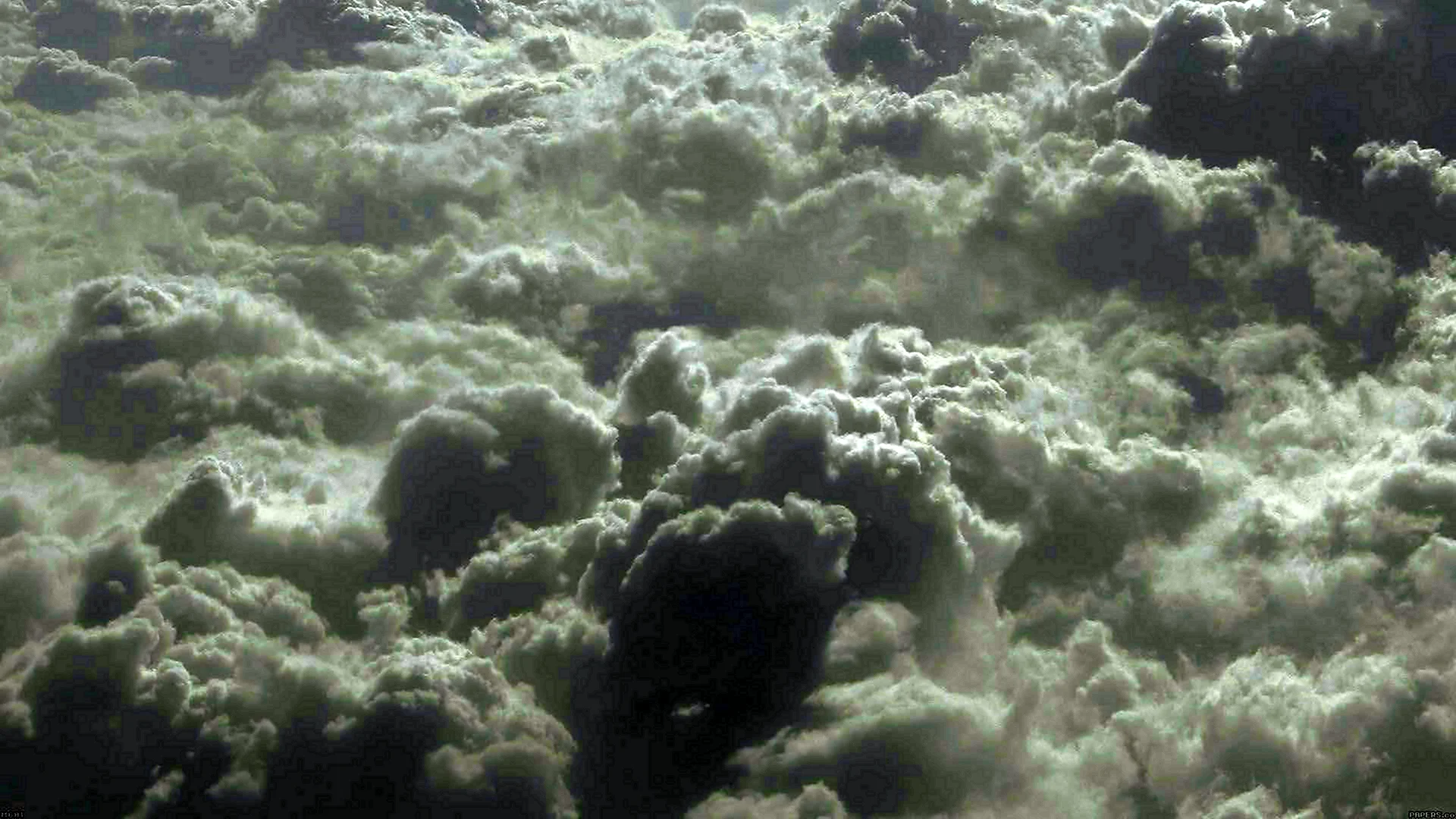 Вайт Клауд White cloud