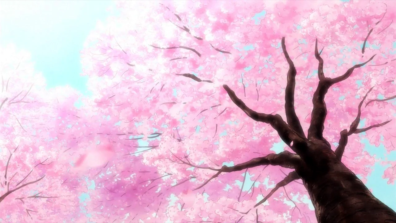 Вечноцветущая Сакура аниме