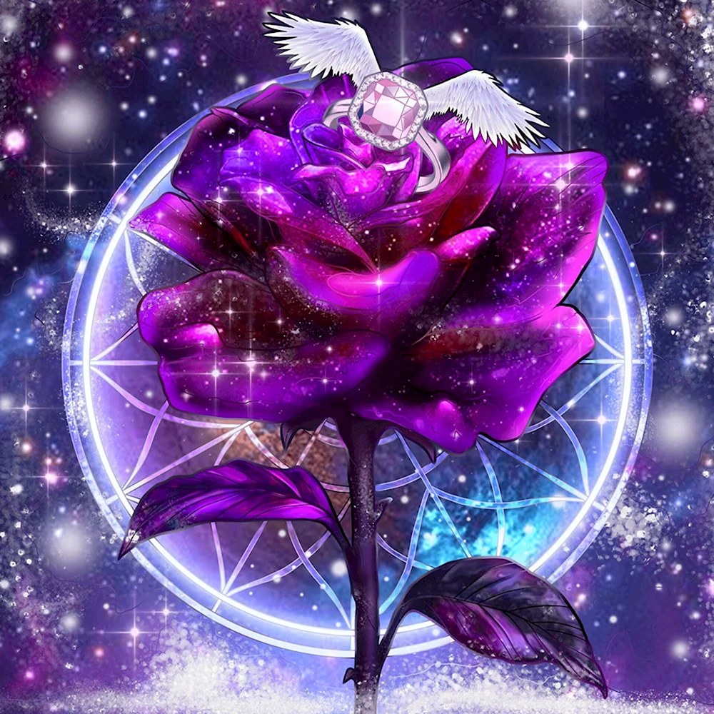 Ведьма пурпурной розы