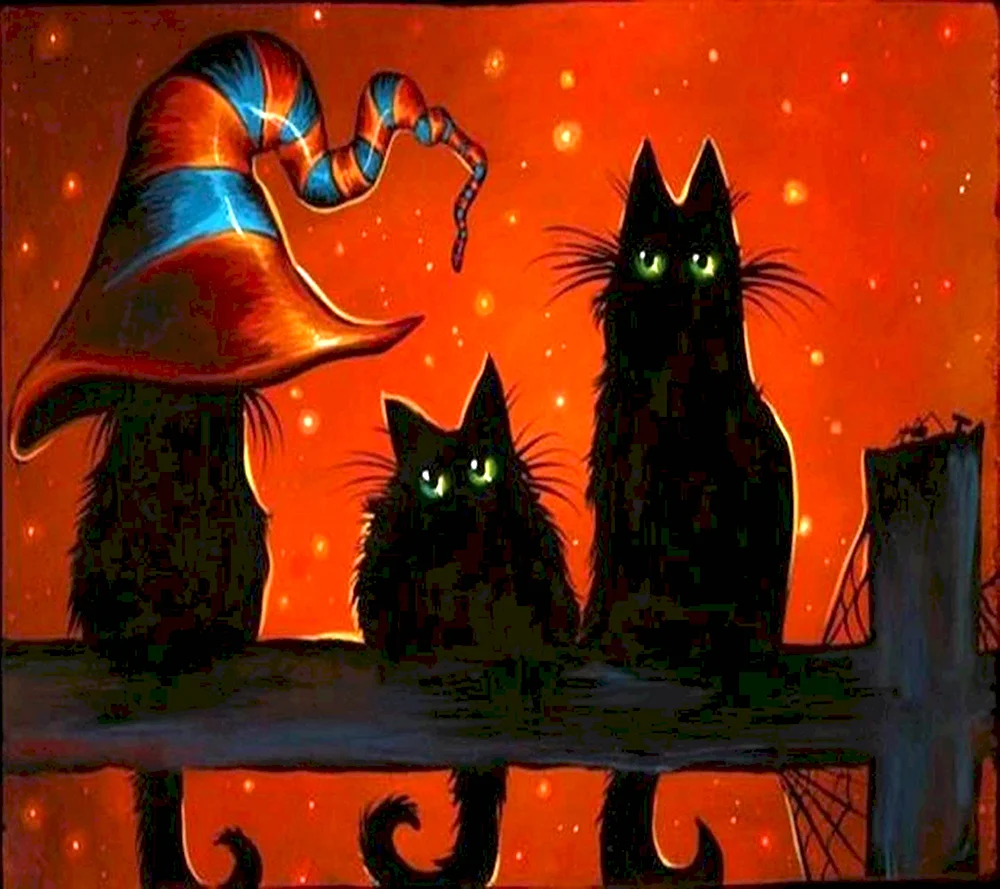 Ведьма с котом
