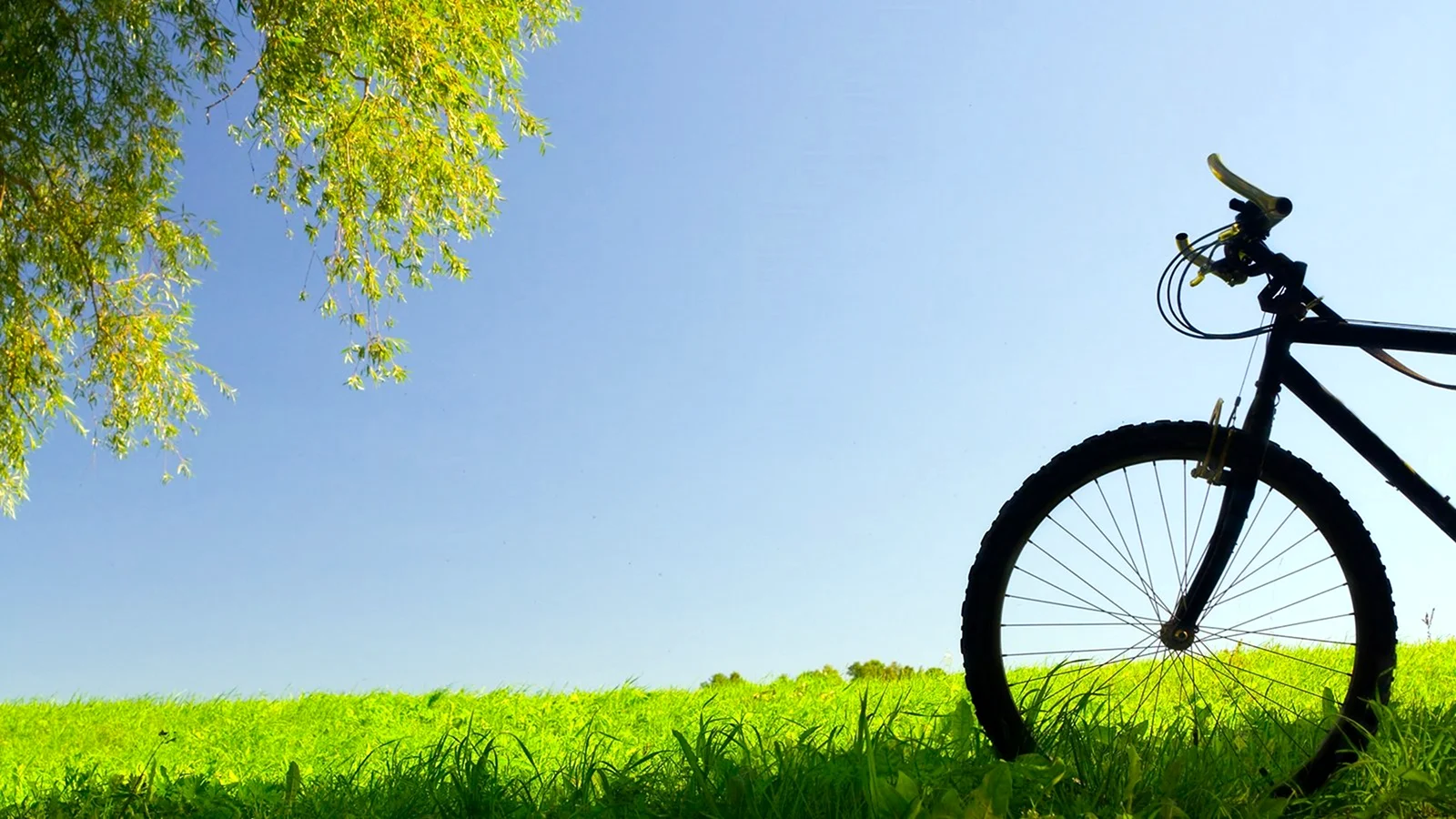 Велосипед на природе