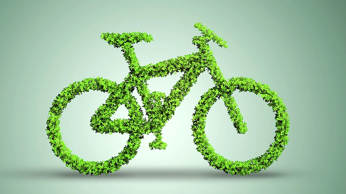 Велосипед на зелёном фоне