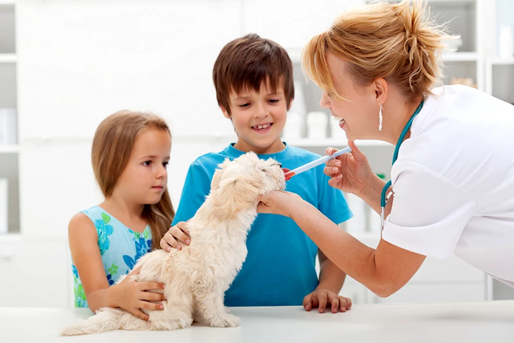 Ветеринария для детей