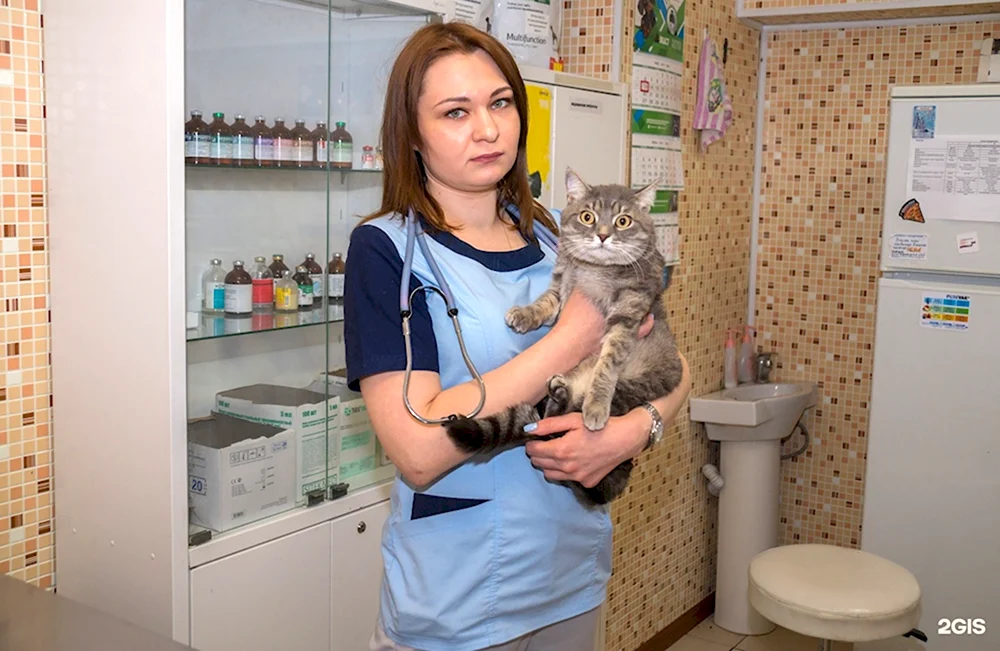 Ветеринарная клиника Реутов ул Калинина 12