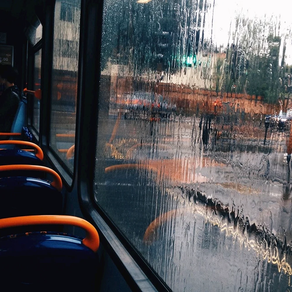 Вид из окна автобуса