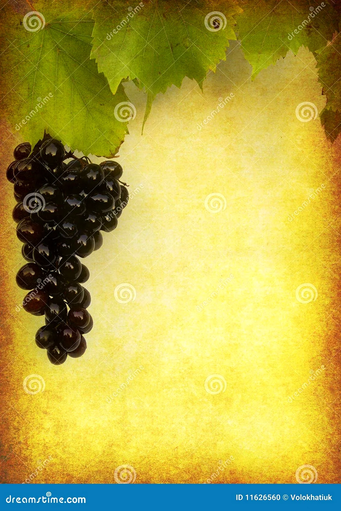 Вино с виноградом на этикетке