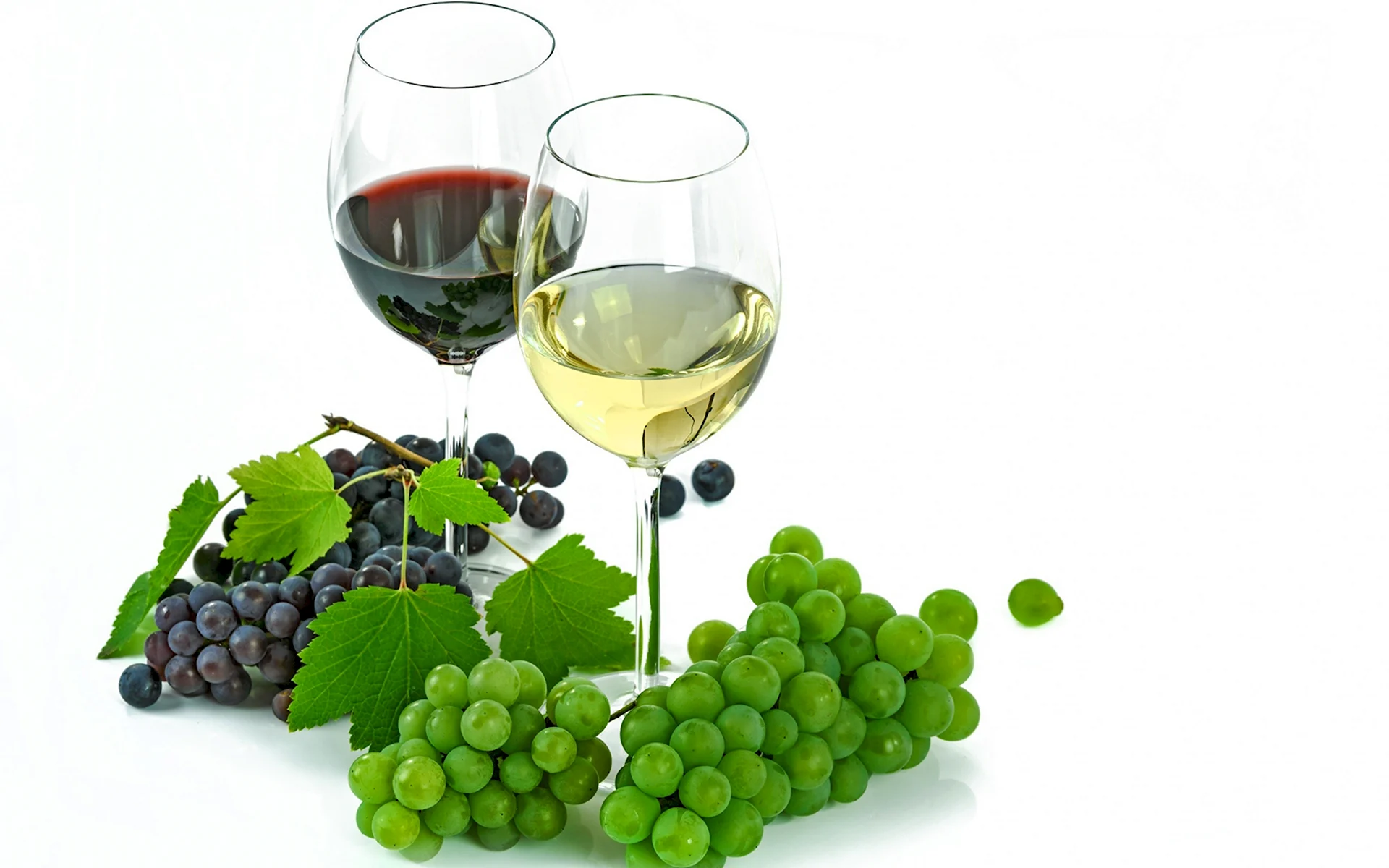 Виноградная лоза вино