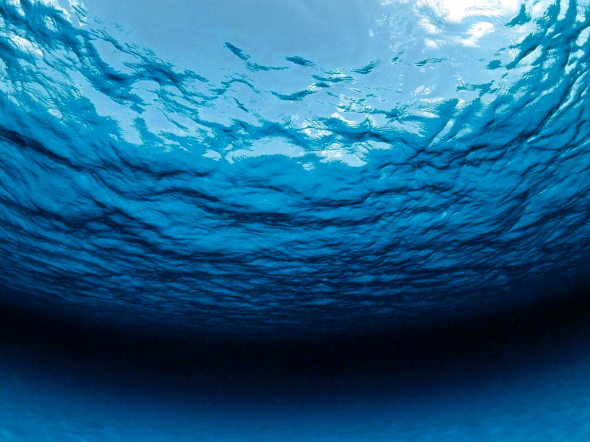 Вода океан