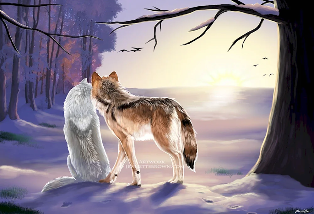 Волк арт зима