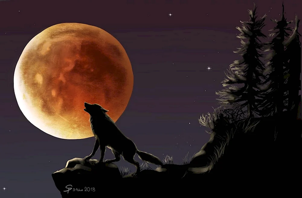 Волк и Луна
