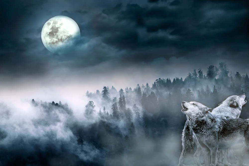 Волк Луна лес