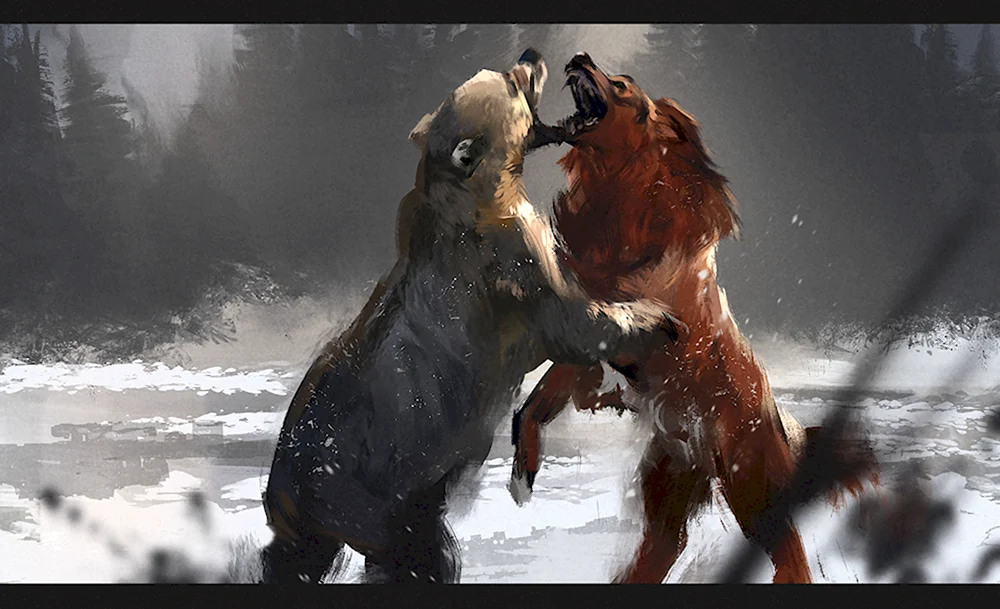 Волк против медведя арт