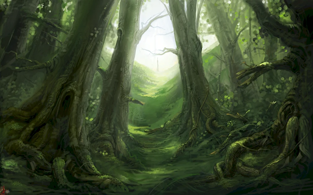 Волшебный лес