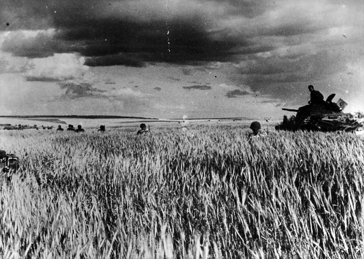 ВОВ 1941 1945 поле после боя