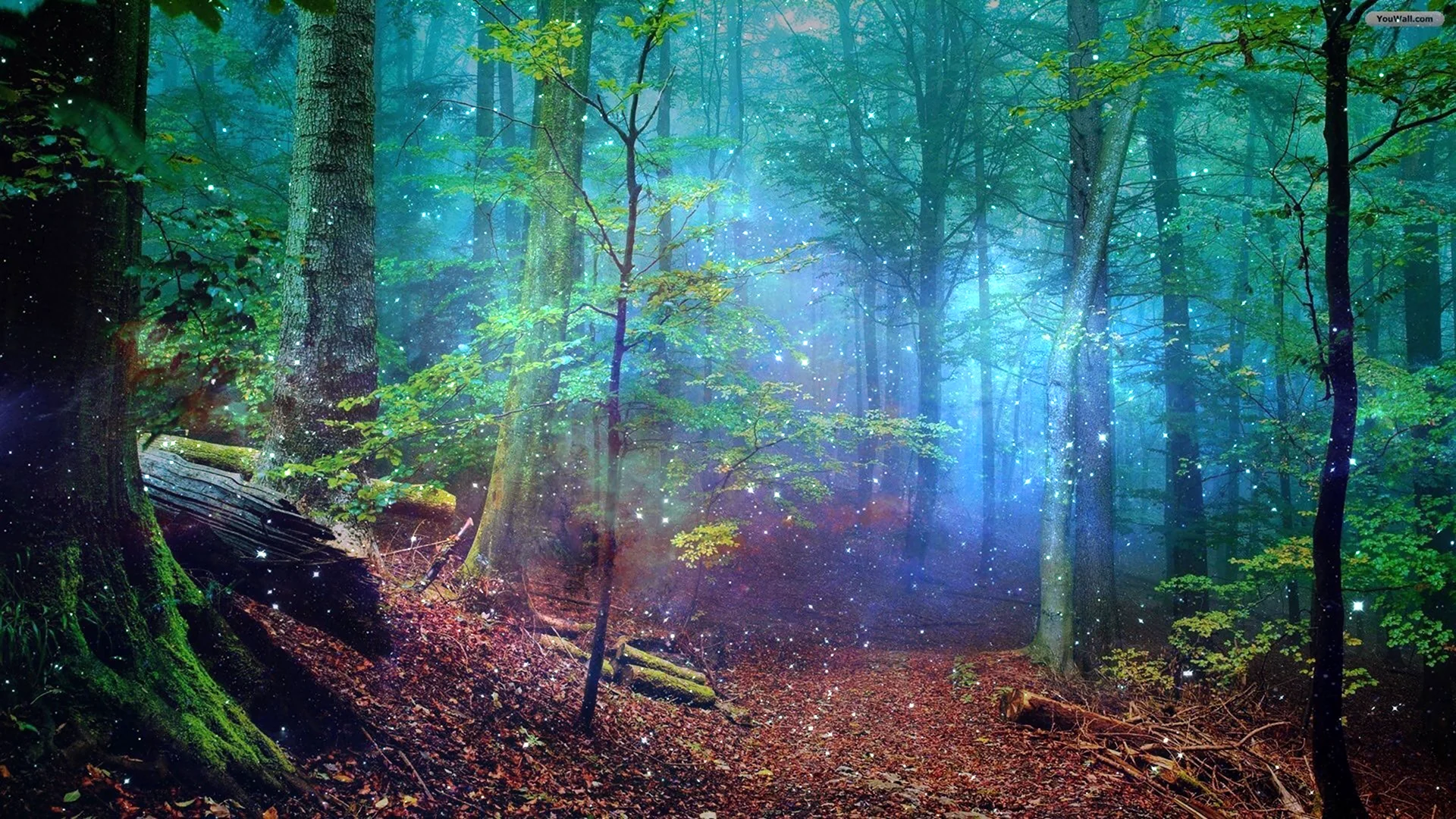 Зачарованный лес чудесный лес 1986