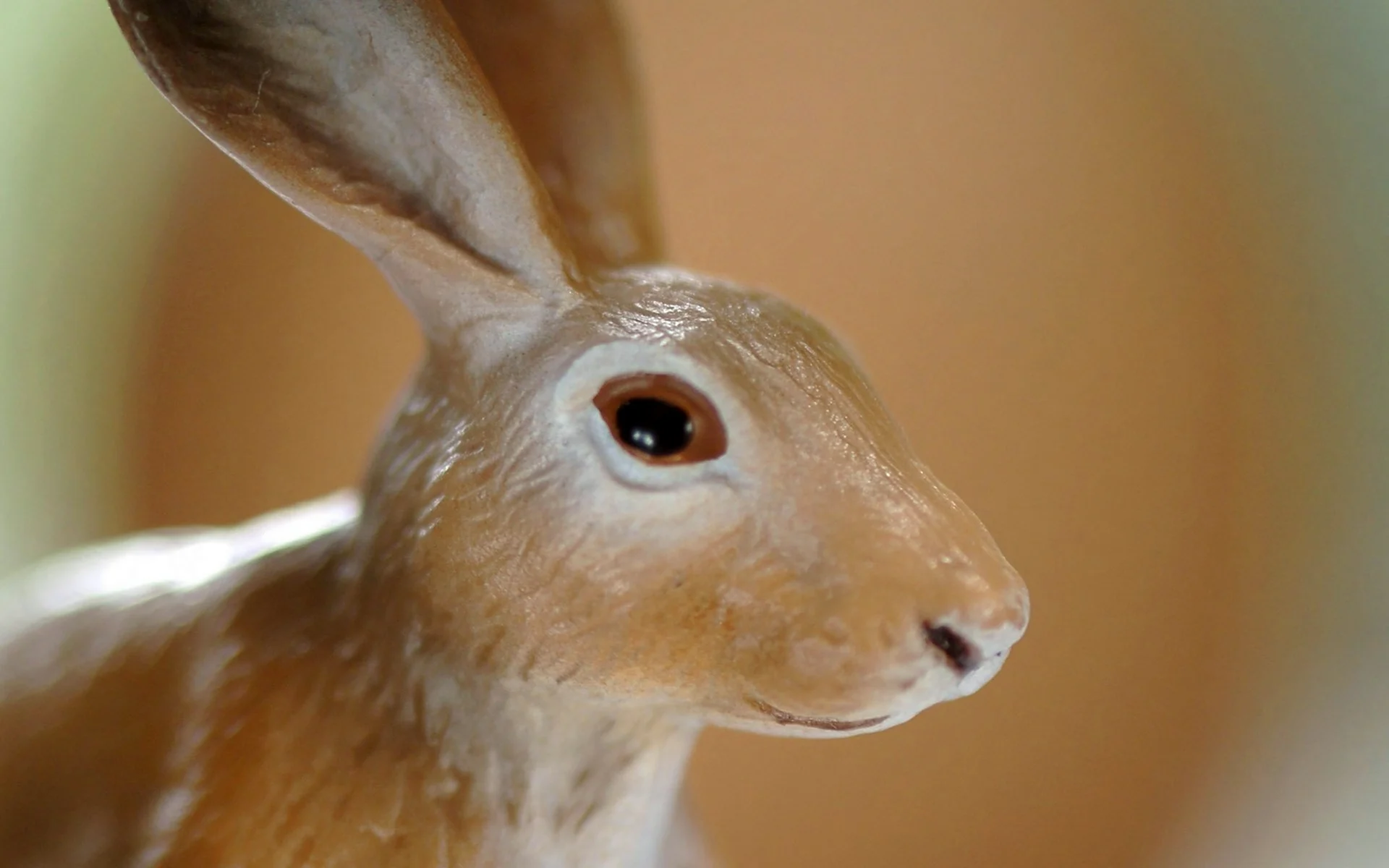 Заяц с янтарными глазами