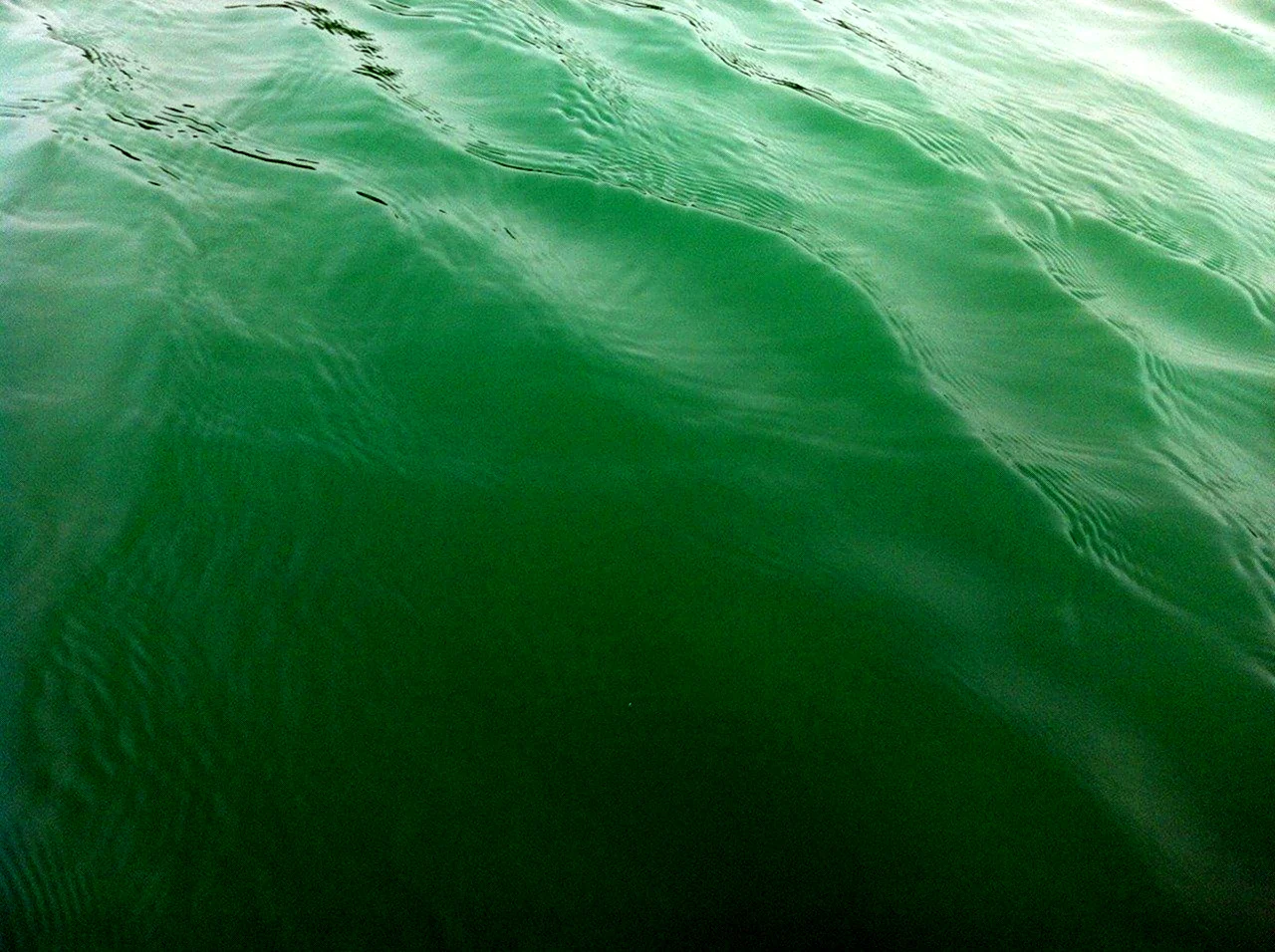 Зеленое море Эстетика