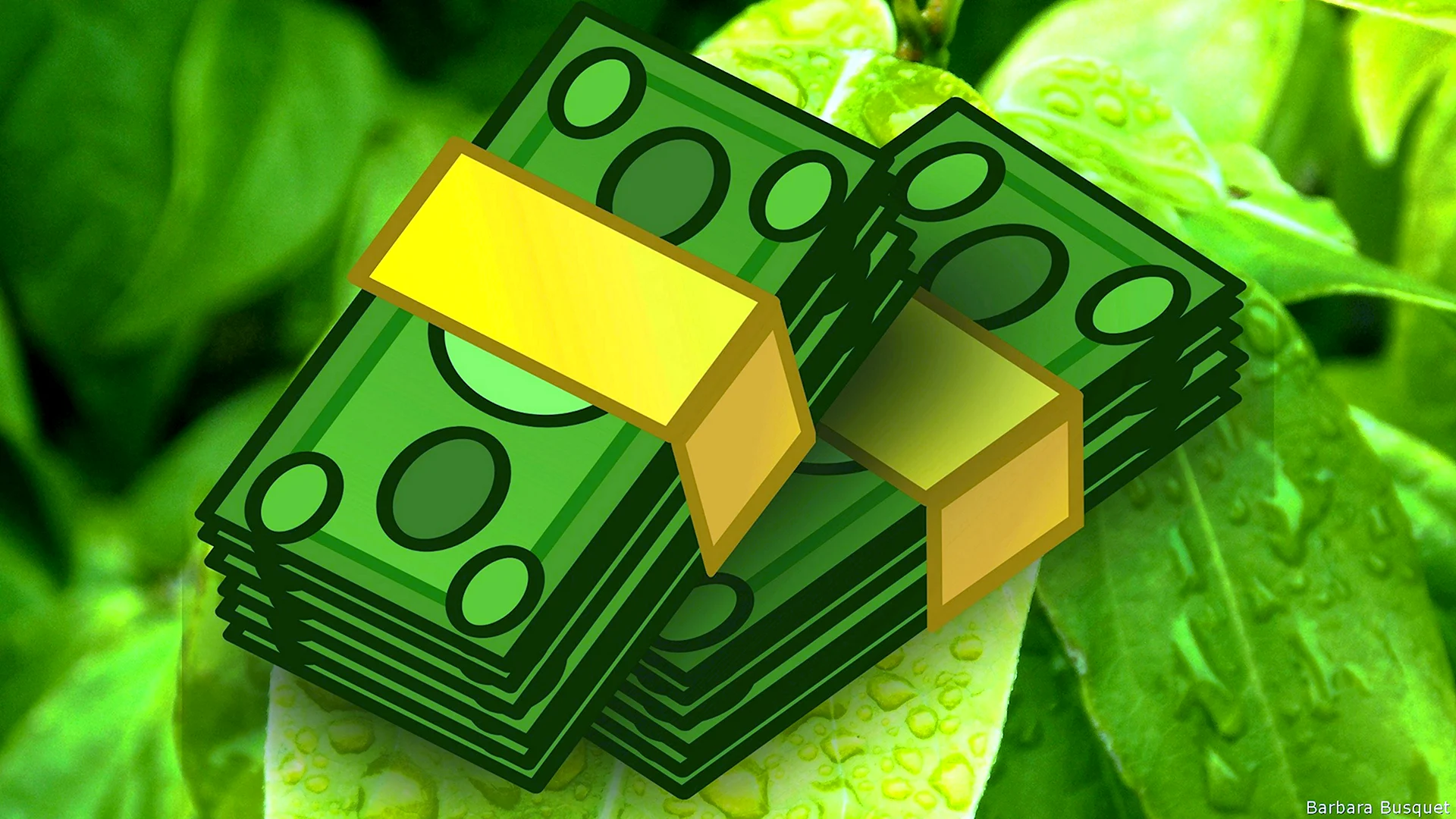 Зеленые деньги
